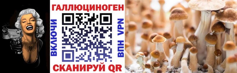 Псилоцибиновые грибы MAGIC MUSHROOMS Дятьково