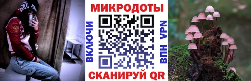 OMG как войти  Дятьково  Галлюциногенные грибы Cubensis 