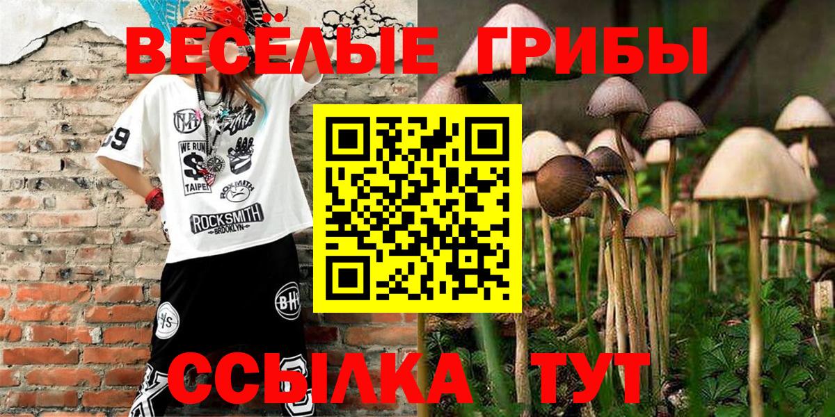 Псилоцибиновые грибы Psilocybe Дятьково