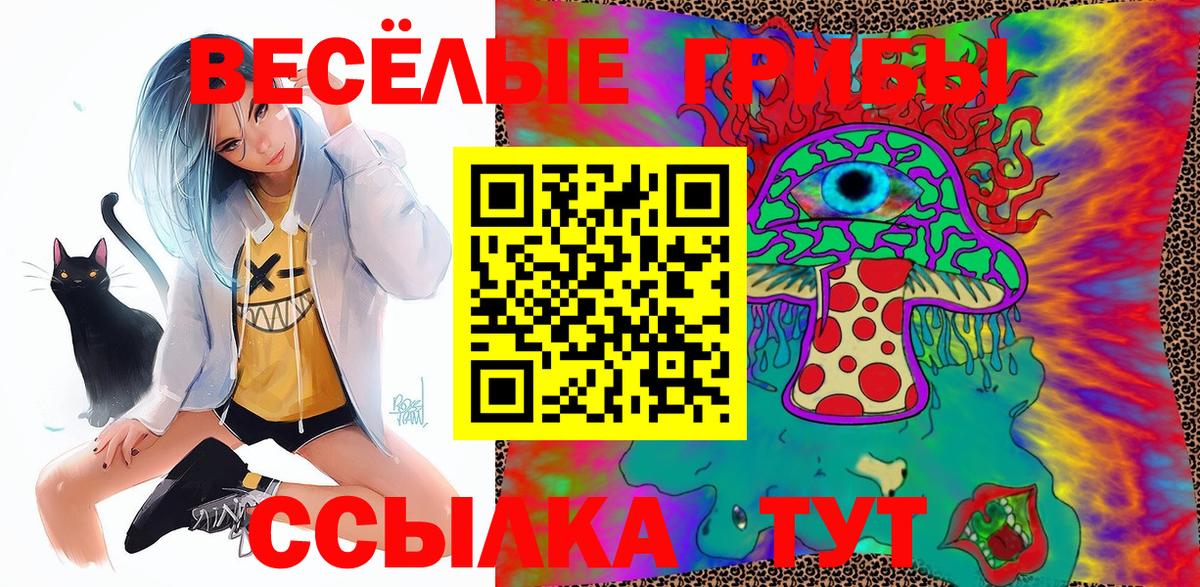 Псилоцибиновые грибы Psilocybe  Дятьково  Галлюциногенные грибы Cubensis 