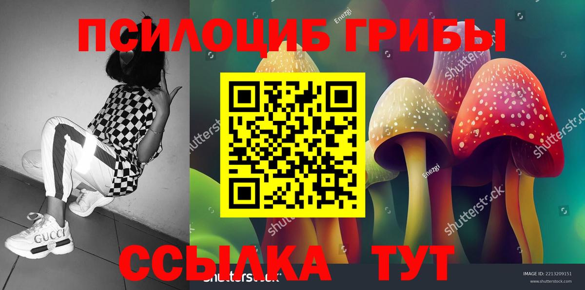 Галлюциногенные грибы прущие грибы Дятьково