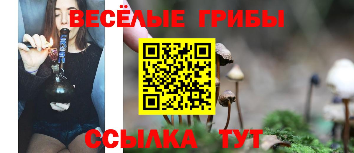 сколько стоит  Галлюциногенные грибы Psilocybine cubensis  Вход с VPN  Дятьково  Псилоцибиновые грибы мухоморы 